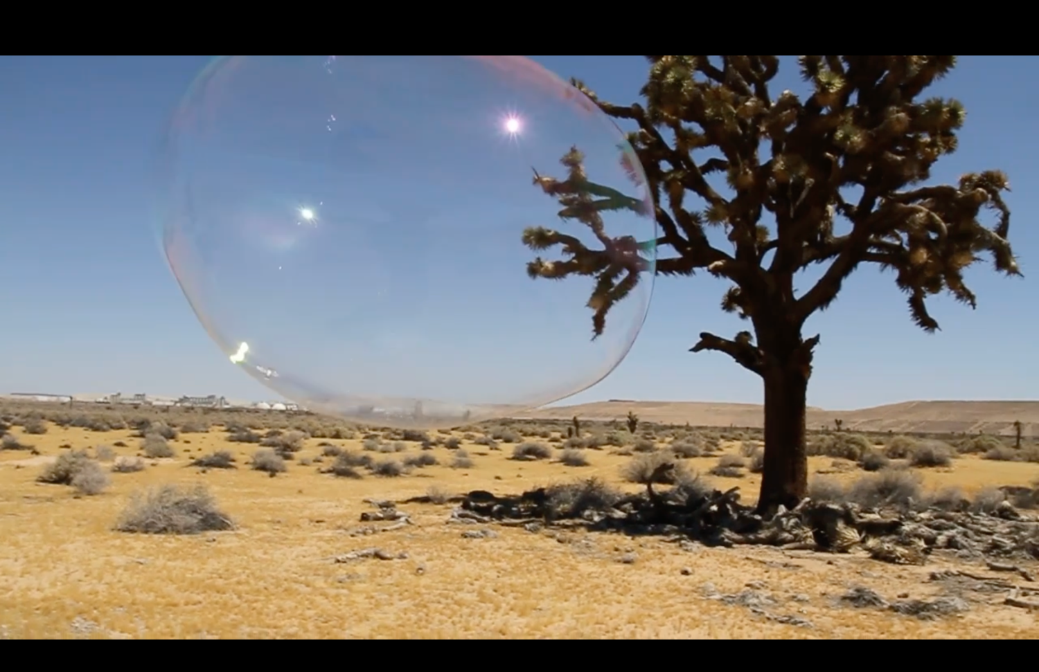 Miguel Arzabe Trajectory SW, 2025