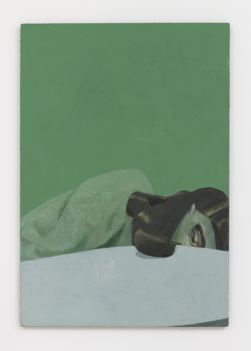 Lenz Geerk Table Portrait I, 2017 Acrylic on wool 57.1 x 39.38 in (145 x 100 cm)