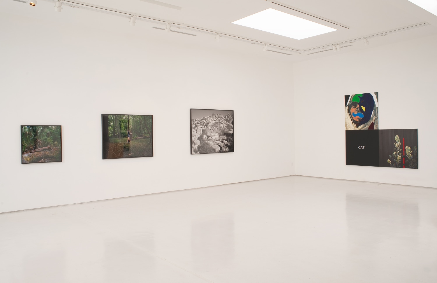 Harsh Terrain Installation View