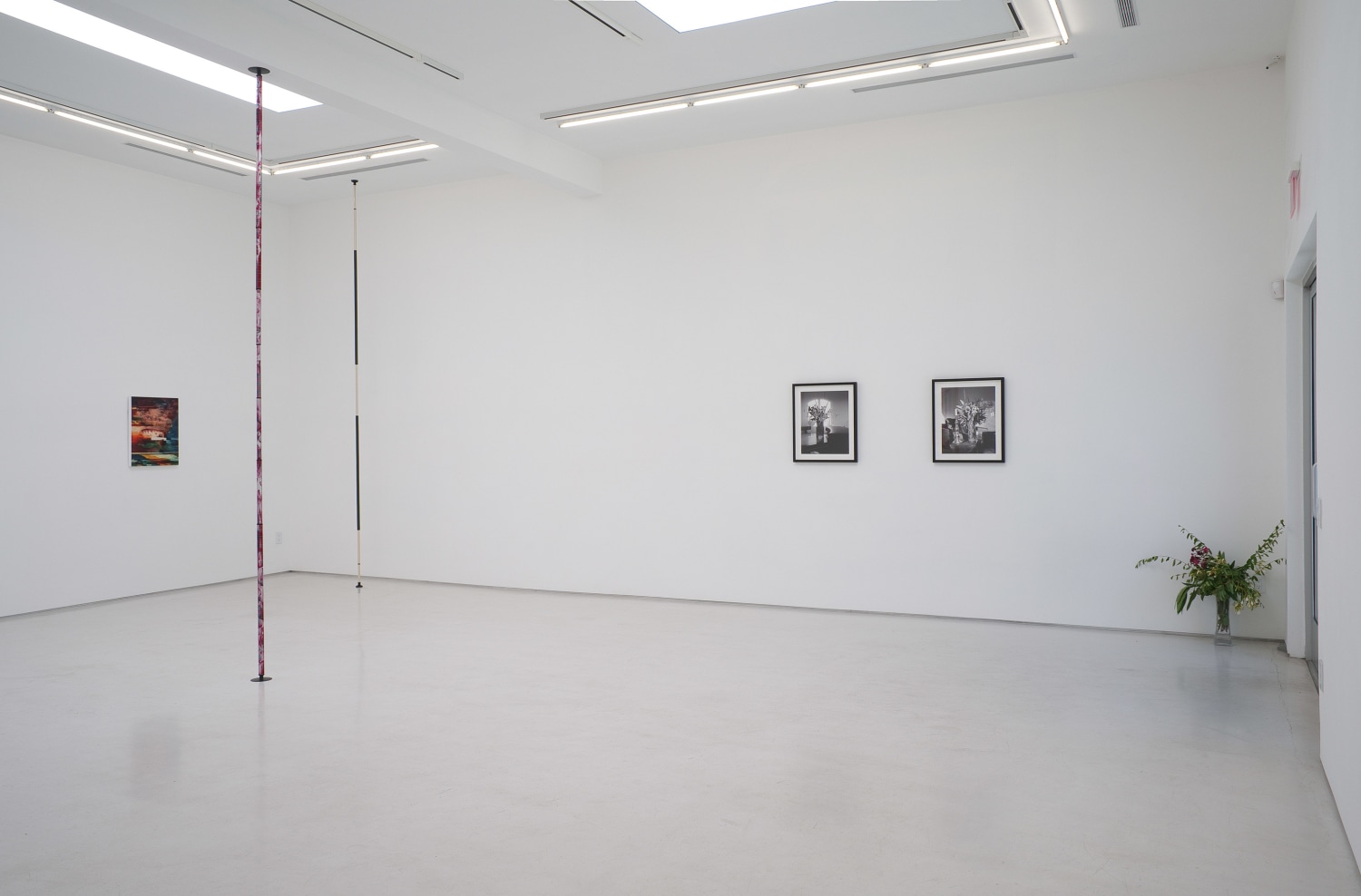 Wild Thing Installation View