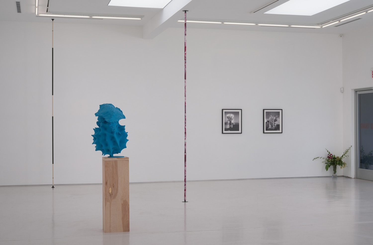 Wild Thing Installation View