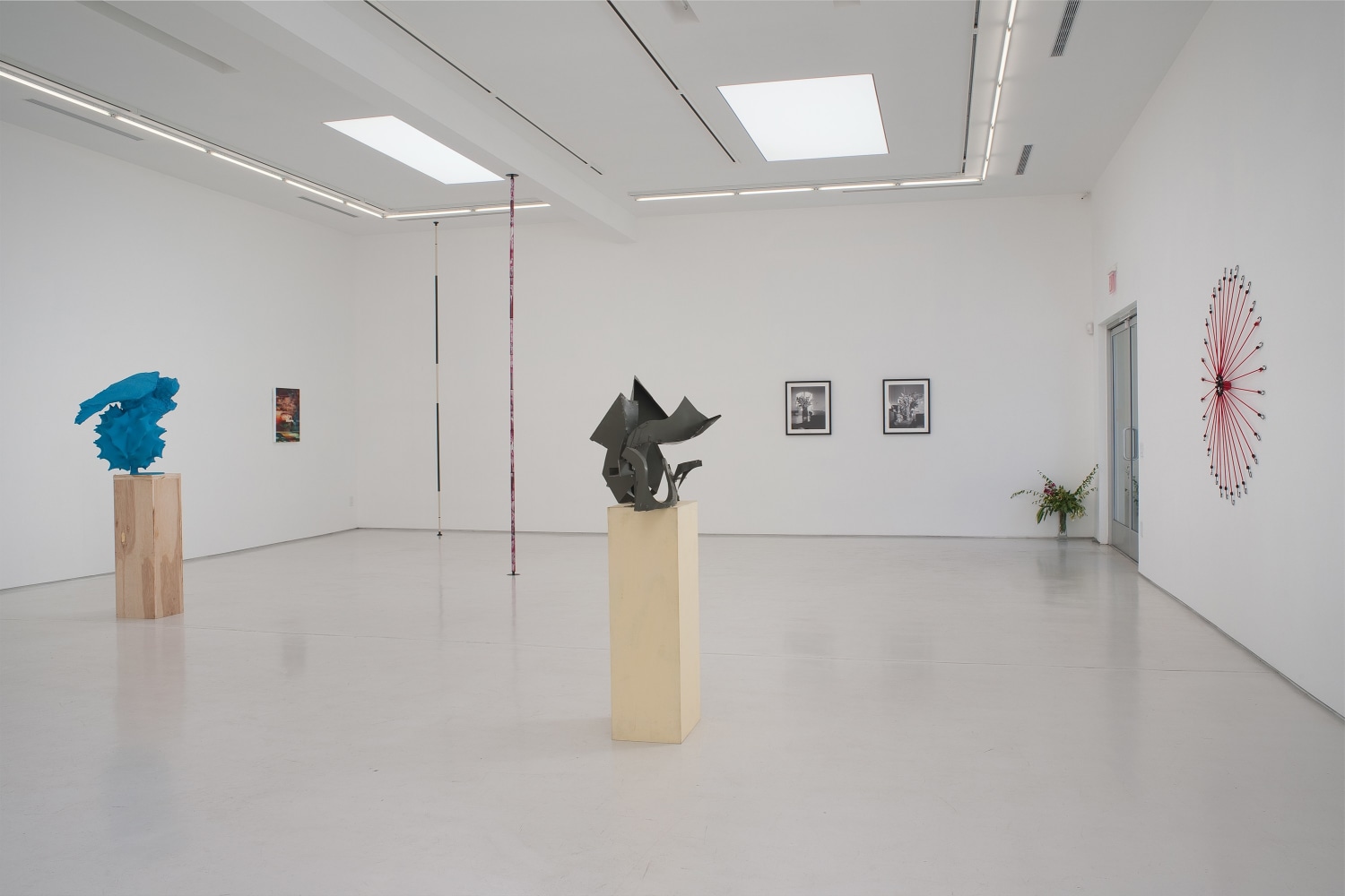 Wild Thing Installation View