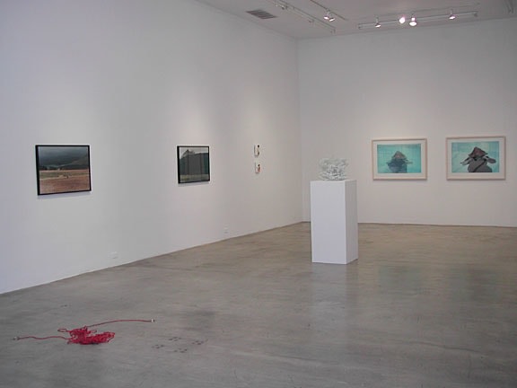 Still Waters Installation View