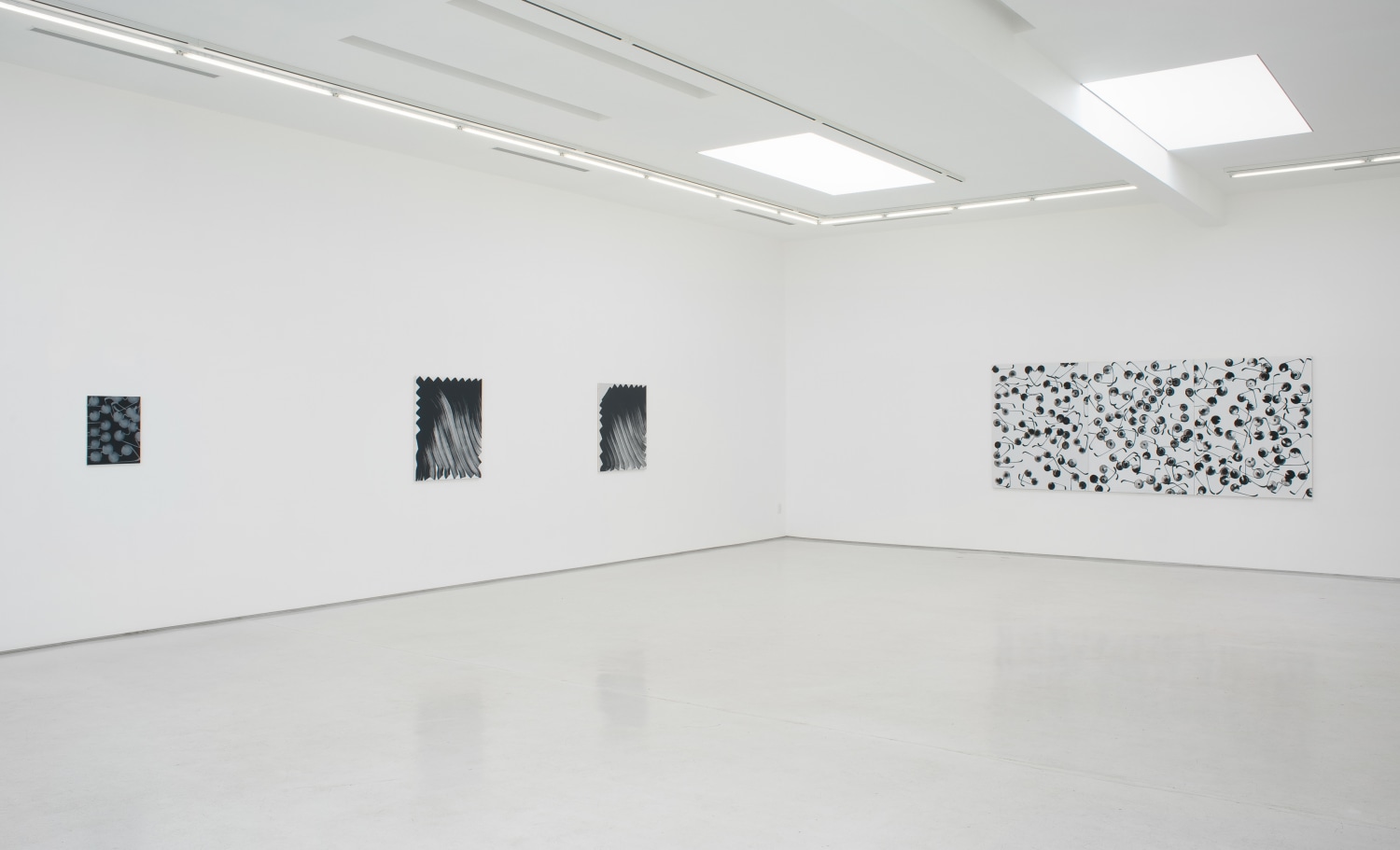 Michael Dopp Various Positions