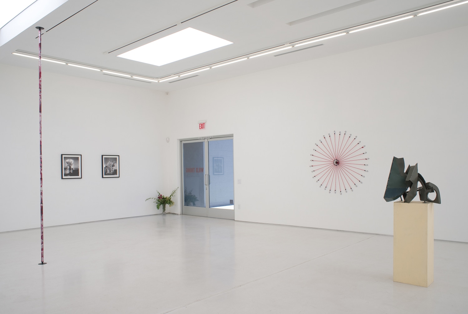 Wild Thing Installation View