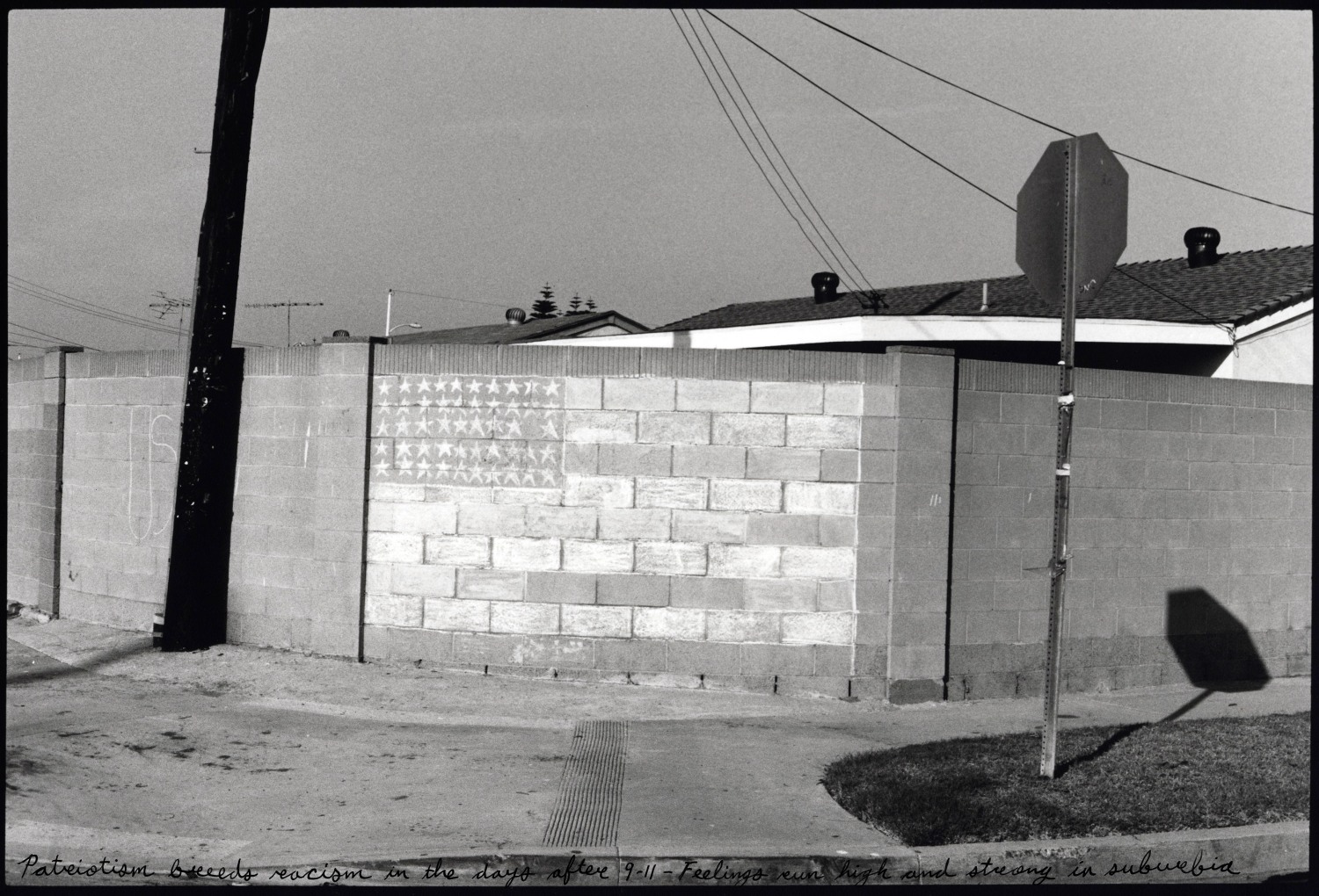 Ed Templeton, Suburban Patriotism, 2001, 2021
