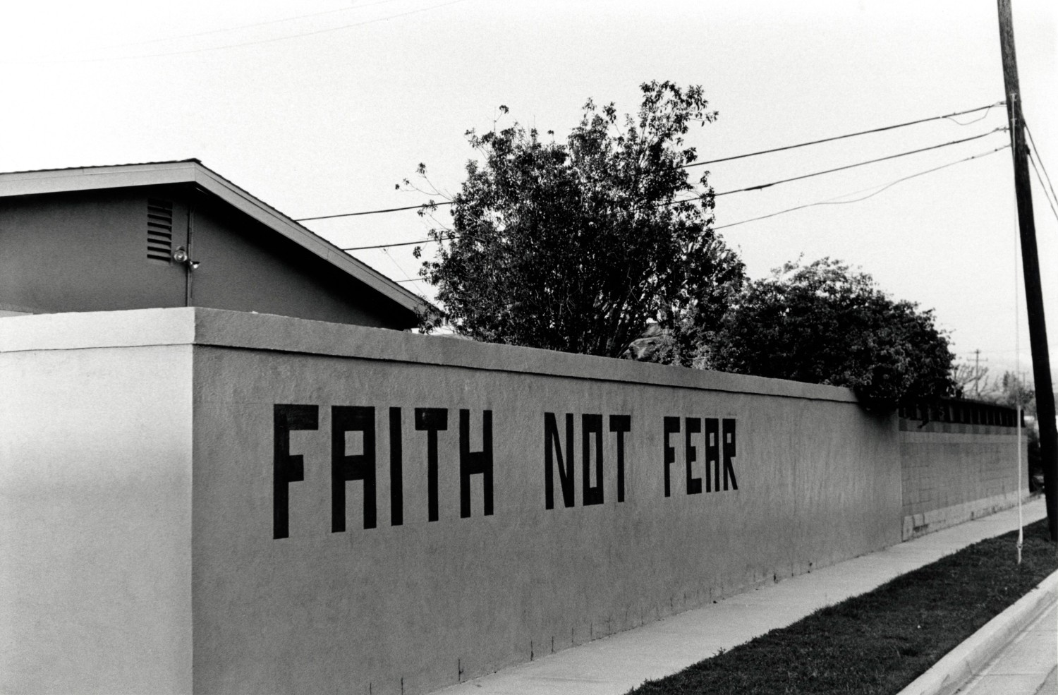 Ed Templeton, Faith Not Fear, 2020, 2021