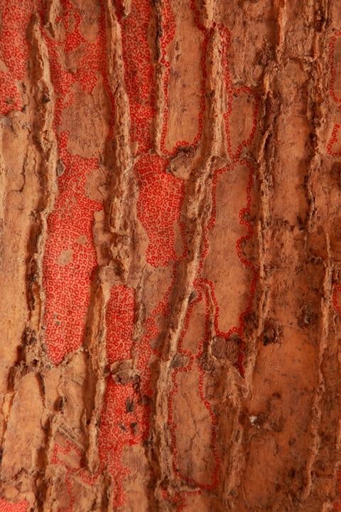 Ratna Gupta MEMORY SERIES V