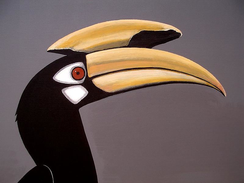 Rajan Krishnan PASTORAL HORNBILL