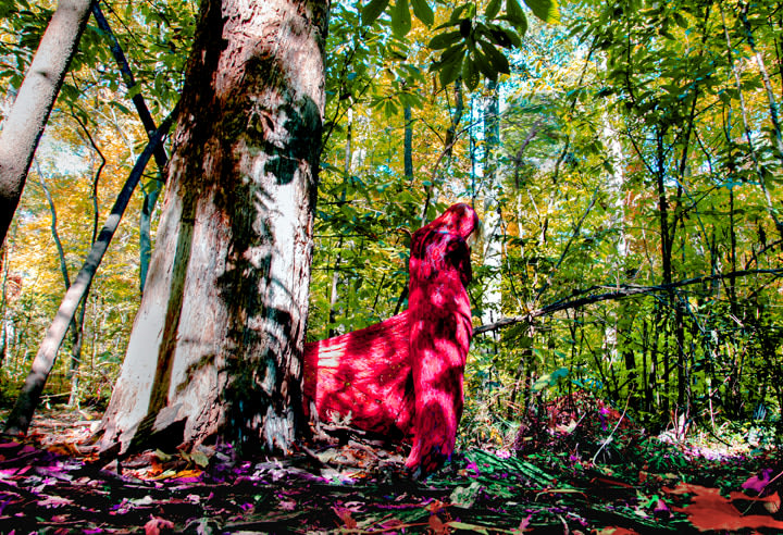 Sarah Ahmad From the series &#039;Bol&#039; (6)