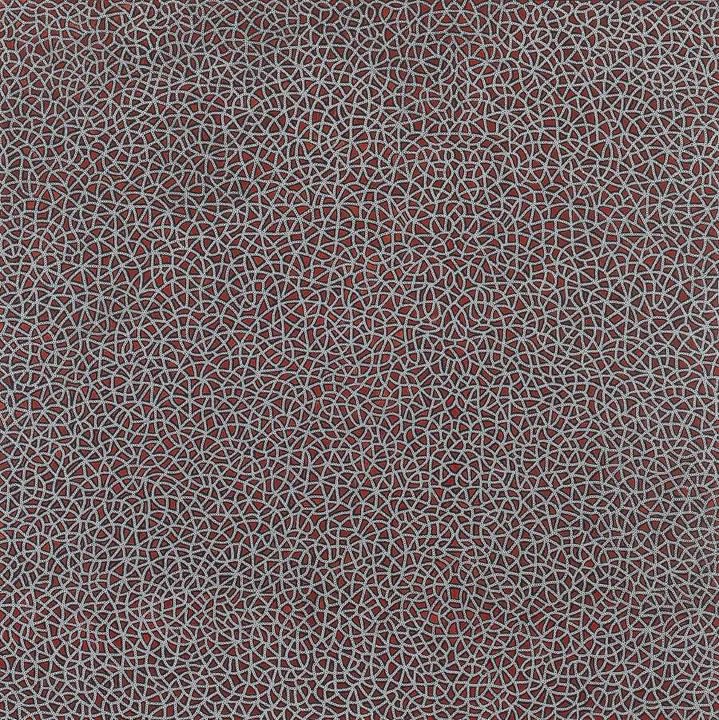 Anil Revri Fractal 39