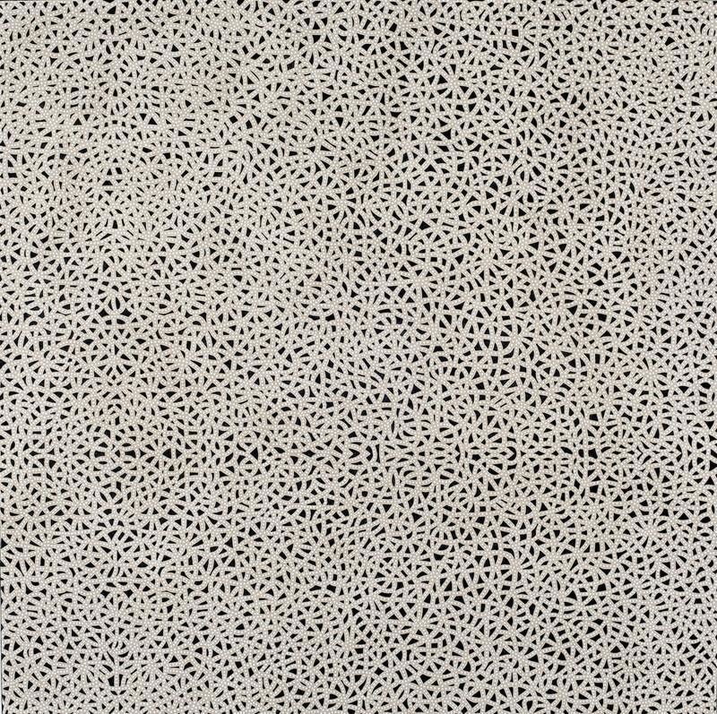 Anil Revri FRACTAL 2