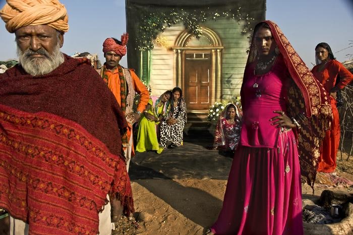 Raghu Rai Trees&nbsp;3 (Eds. 2-4)