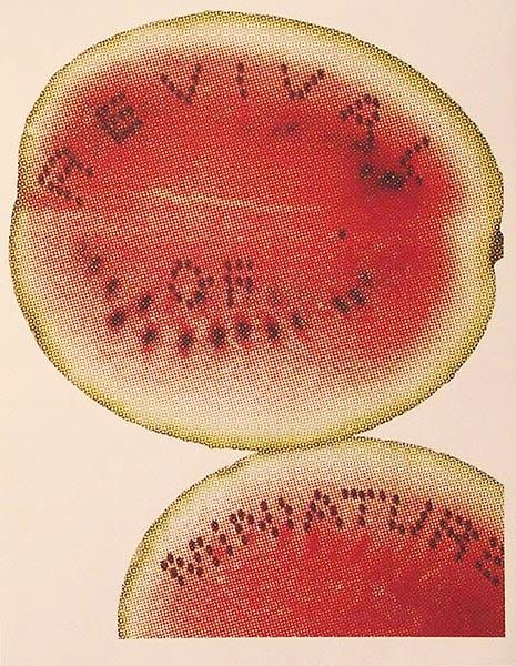 Hasnat Mahmood REVIVAL OF MINIATURE