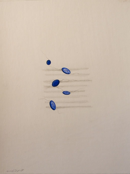 Sumaira Tazeen UDHAIR BUN IV