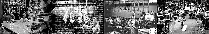 Sanjeet Chowdhury UNTITLED DVD (MEAT SERIES)