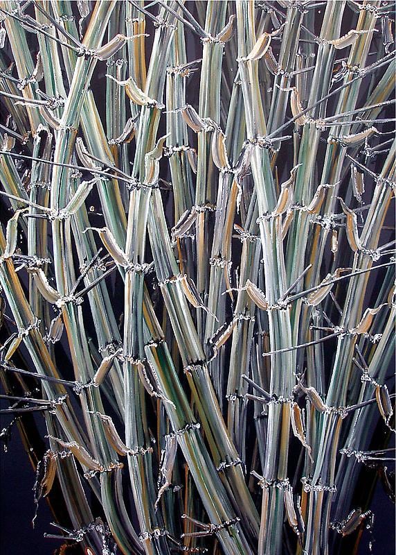 Rajan Krishnan PLANT FROM THE GROVE BY THE RIVER 5