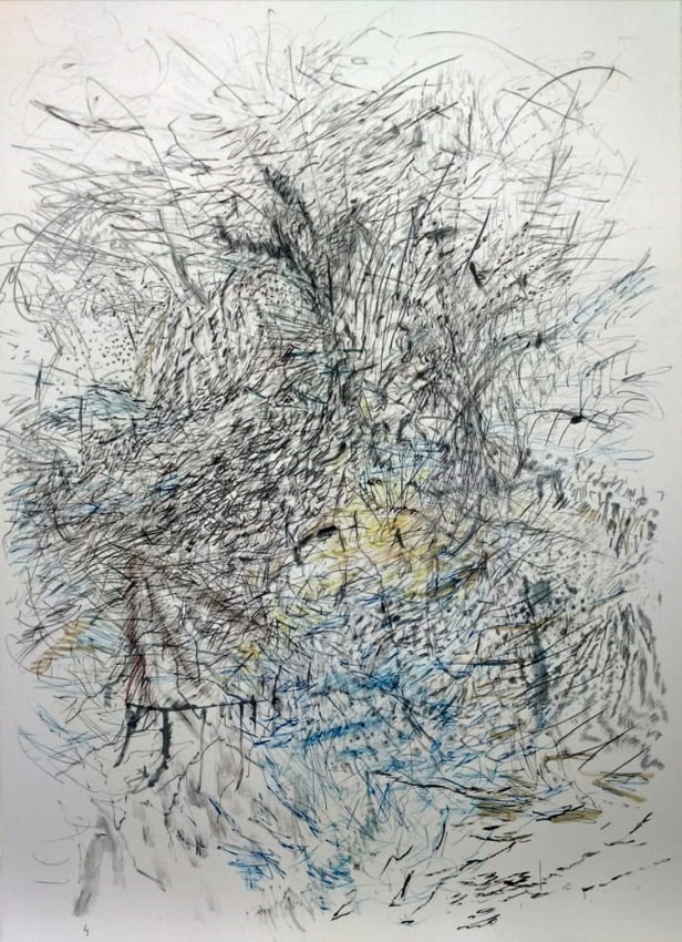 Jayashree Chakravarty, Nature&#039;s Marks