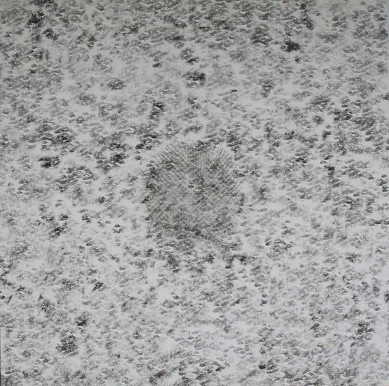 Tazeen Qayyum AVOID CONTACT WITH EYES AND SKIN