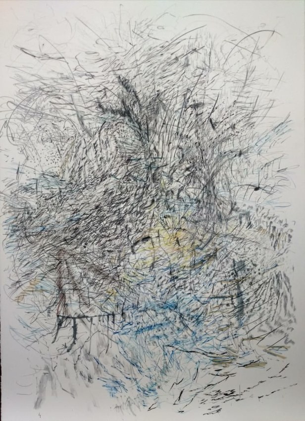 Jayashree Chakravarty,&nbsp;Nature&#039;s marks,&nbsp;2020,&nbsp;Watercolour, graphite, charcoal, ink, acrylic on paper,&nbsp;41.25 x 29.75 in