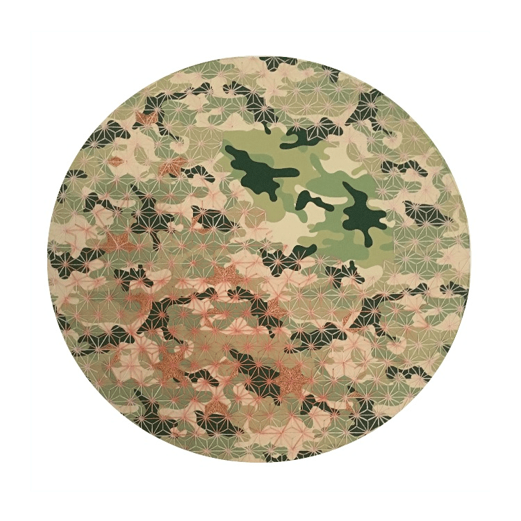 Fatima Munir, To the Moon and Back 2