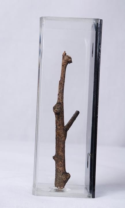 Ratna Gupta SOMEDAY CONTAINED SERIES (BOX 3)