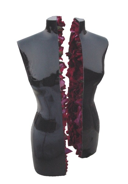 Ayesha Durrani On The Inside