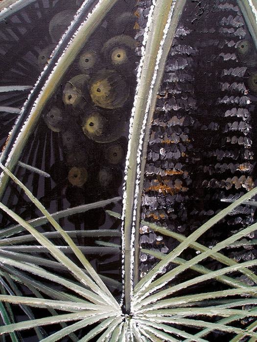 Rajan Krishnan PLANT FROM THE GROVE BY THE RIVER 4