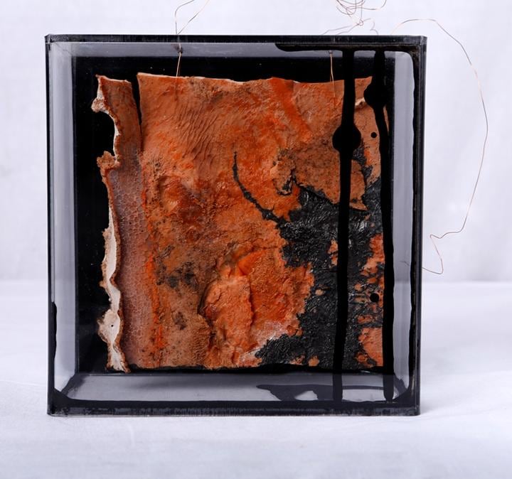 Ratna Gupta SOMEDAY CONTAINED SERIES (BOX 1)