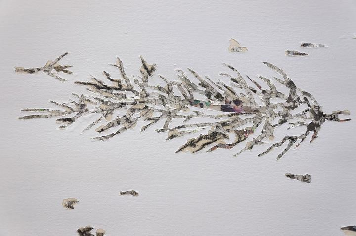 Saad Qureshi SURFACES