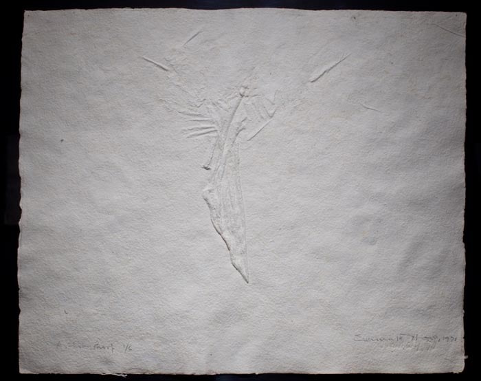 Somnath Hore WOUND SERIES-1