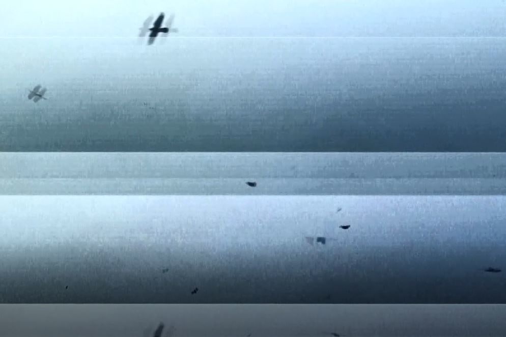 Utsa Hazarika video still