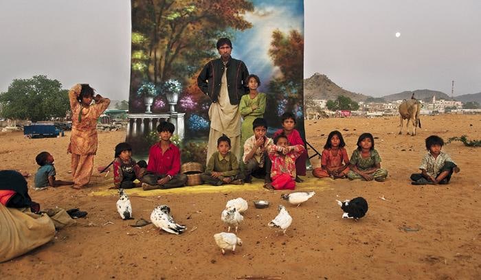 Raghu Rai Trees&nbsp;4 (Eds. 2-4)