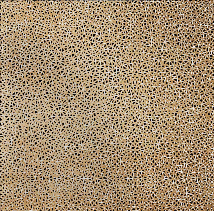 Anil Revri, Fractal 8,&nbsp;2006,&nbsp;Acrylic on canvas,&nbsp;48 x 48 in