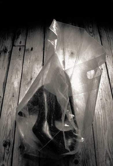 Prabuddha Dasgupta UNTITLED 14