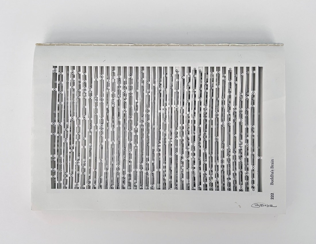 Youdhisthir Maharjan, Buddha's Brain, 2019, Hand-cut book pages, 9 x 6 x 0.75 in