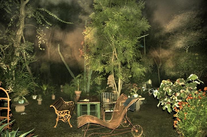 Raghu Rai TREES AT NIGHT 1