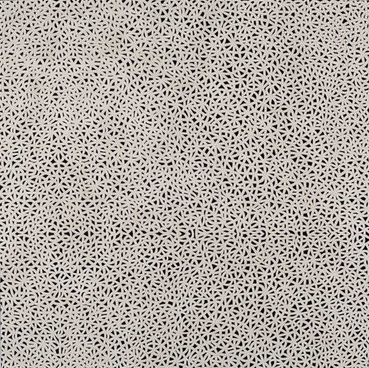 Anil Revri Fractal 2