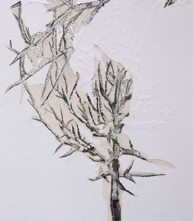 Saad Qureshi ESSENCES