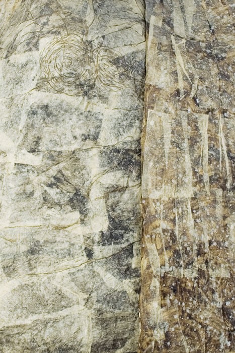 Jayashree Chakravarty UNTITLED C (SPHERE ALIEN) PAPER INSTALLATION - 7 Pieces