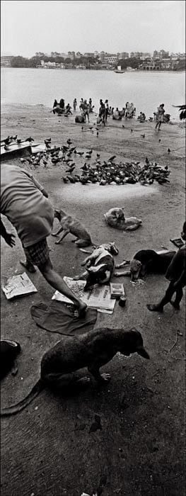 Raghu Rai FEEDING PIGEONS, HOOGLY, KOLKATA