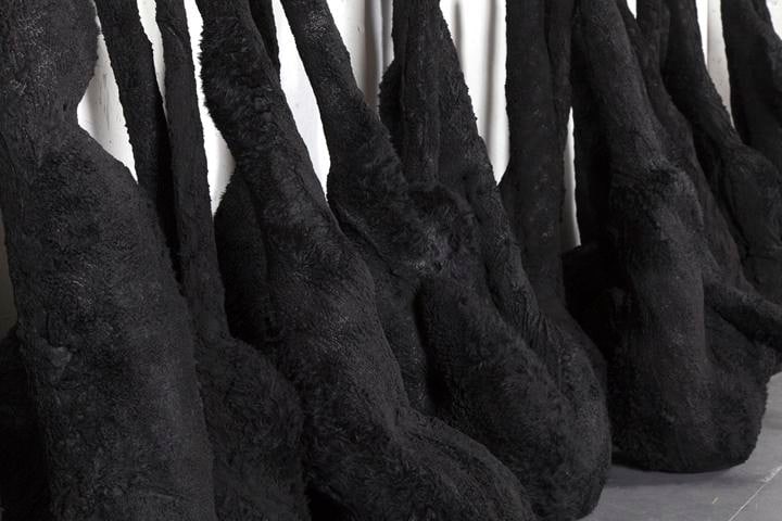 Saad Qureshi IN THE REMAINS