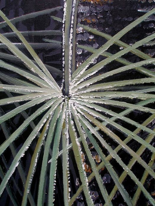 Rajan Krishnan PLANT FROM THE GROVE BY THE RIVER 4