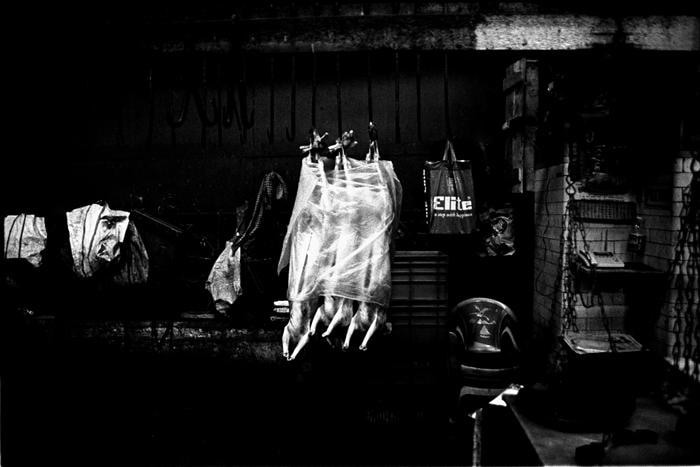 Sanjeet Chowdhury UNTITLED 8 (MEAT SERIES)