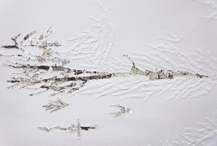 Saad Qureshi SURFACES