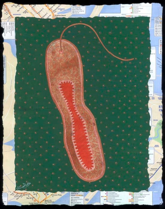 Talha Rathore PURPOSE OF LIFE