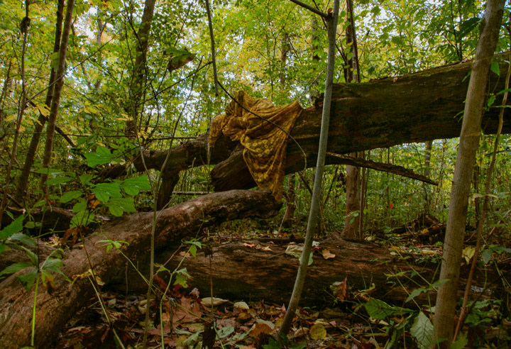 Sarah Ahmad From the series &#039;Bol&#039; (1)