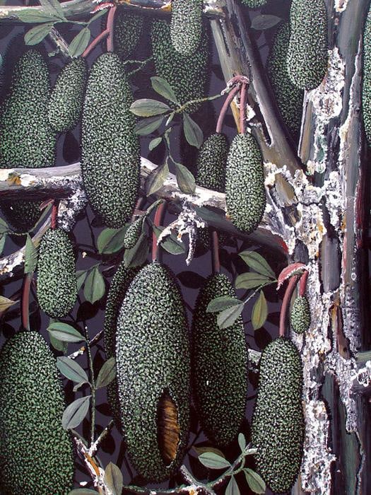 Rajan Krishnan PLANT FROM THE GROVE BY THE RIVER 1