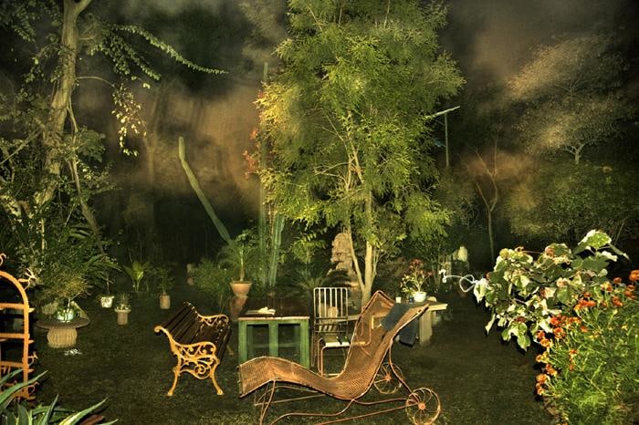 Raghu Rai Trees 1 (Eds. 2-4)