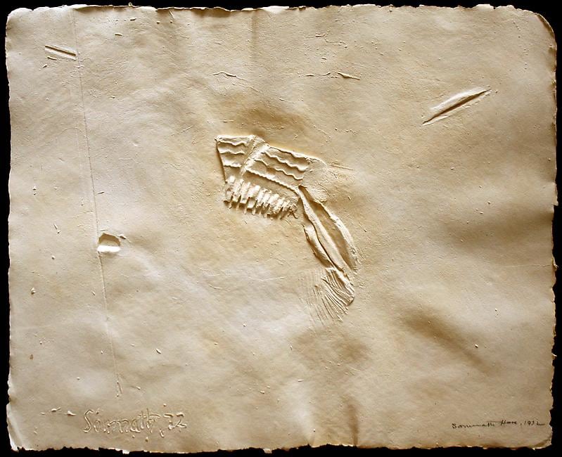 Somnath Hore,&nbsp;Untitled (Wound Series), 8,&nbsp;1972,&nbsp;Cast on handmade paper, 19 x 12.5 in